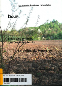 Dour entre cité et forêt