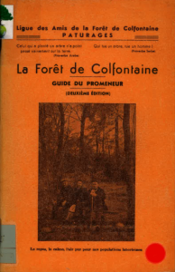 La fôret de Colfontaine